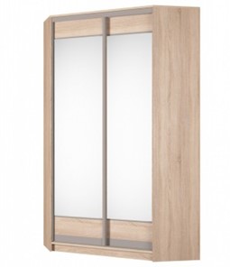 Угловой шкаф Аларти (YA-230х1250(602) (2) Вар. 5; двери D2+D2), с зеркалом во Владикавказе