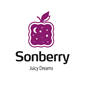 Sonberry во Владикавказе