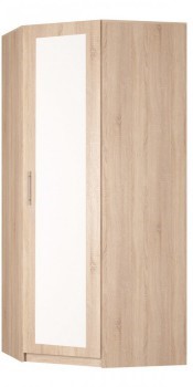 Угловой распашной шкаф Реал (YR-230х1034 (3)-М Вар.1), с зеркалом во Владикавказе - изображение