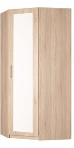 Угловой распашной шкаф Реал (YR-230х884 (9)-М Вар.1), с зеркалом во Владикавказе
