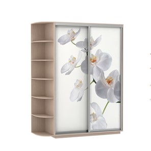 Шкаф 2-створчатый Экспресс 1900x600x2200, со стеллажом, Орхидея белая/дуб молочный во Владикавказе