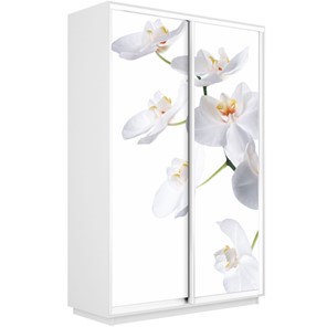 Шкаф 2-дверный Экспресс 1600x450x2400, Орхидея белая/белый снег во Владикавказе