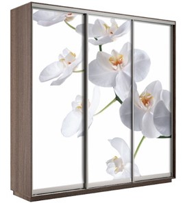 Шкаф 3-створчатый Экспресс 2100х600х2200, Орхидея белая/шимо темный во Владикавказе - предосмотр