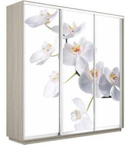 Шкаф 3-створчатый Экспресс 2400х600х2400, Орхидея белая/шимо светлый во Владикавказе - предосмотр