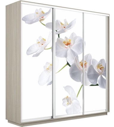 Шкаф 3-створчатый Экспресс 2400х600х2400, Орхидея белая/шимо светлый во Владикавказе - изображение