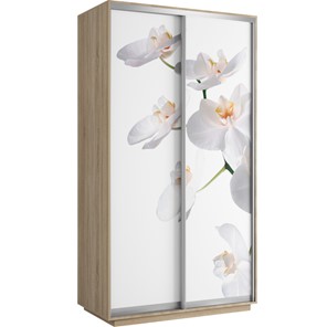 Шкаф 2-х створчатый Хит 1200x600x2200, белая орхидея, ясень шимо светлый во Владикавказе