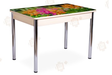 Кухонный стол раскладной Айсберг-02 СТФ, Дуб ЛДСП/полевые цветы/ноги хром прямые во Владикавказе