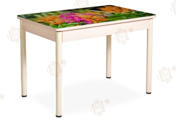 Кухонный стол раздвижной Айсберг-02 СТФ, Дуб ЛДСП/полевые цветы/ноги крашеные во Владикавказе