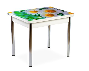 Кухонный пристенный стол СПА-01 СТФ, белый/фотопечать ромашки/опоры прямые хром во Владикавказе