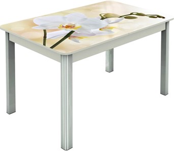 Кухонный стол раздвижной Гамбург исп.2 ноги метал. крашеные №23, Фотопечать (Цветы №5) во Владикавказе