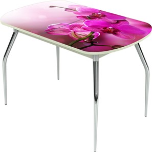 Кухонный стол раскладной Ривьера исп.1 ноги метал. крашеные №24 Фотопечать (Цветы №16) во Владикавказе