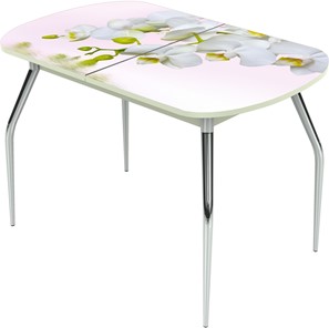 Обеденный раздвижной стол Ривьера исп.1 ноги метал. крашеные №24 Фотопечать (Цветы №7) во Владикавказе