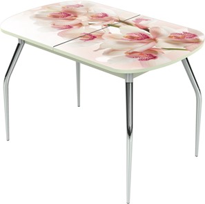 Кухонный стол раздвижной Ривьера исп.2 ноги метал. крашеные №24 Фотопечать (Цветы №8) во Владикавказе