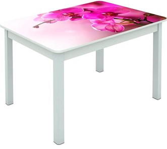 Обеденный стол Мюнхен исп. 1 ноги метал. крашеные №23 Фотопечать (Цветы №16) во Владикавказе