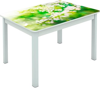 Обеденный стол Мюнхен исп. 1 ноги метал. крашеные №23 Фотопечать (Цветы №45) во Владикавказе