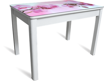 Кухонный стол раскладной Айсберг мини СТФ, белое лдсп/орхидея/40 прямые массив белые во Владикавказе