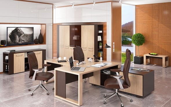 Кабинет руководителя ALTO с брифинг-приставкой, с низким и высокими шкафами во Владикавказе - изображение