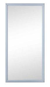 Зеркало навесное в гардероб Ника (Серый) 119,5 см x 60 см во Владикавказе