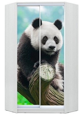 Шкаф угловой Хит-У-24-4-77-29, Панда, Белый во Владикавказе - изображение