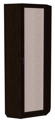 Шкаф распашной 402 угловой со штангой, цвет Венге во Владикавказе - изображение