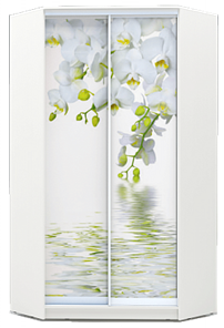 Шкаф 2300х1103, ХИТ У-23-4-77-05, Белая орхидея, белая во Владикавказе