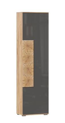 Шкаф одностворчатый Фиджи с декоративными накладками 659.300, Дуб Золотой/Антрацит во Владикавказе - изображение