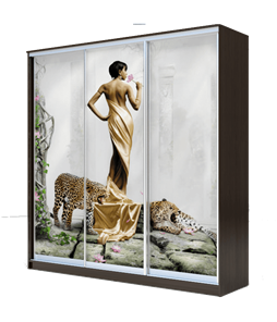 Шкаф 3-х створчатый 2200х1770х620, Девушка с леопардом ХИТ 22-18-777-03 Венге Аруба во Владикавказе
