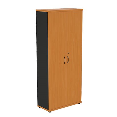 Шкаф двухдверный Моно-Люкс R5S05 во Владикавказе - изображение