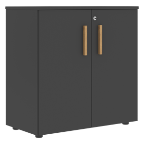 Шкаф широкий низкий с малыми дверцами FORTA Черный Графит FLC_80.1_Z__grafit.png FLC 80.1(Z) (798х404х801) во Владикавказе